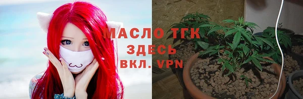 стаф Володарск