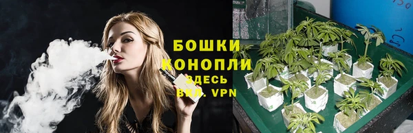стаф Володарск