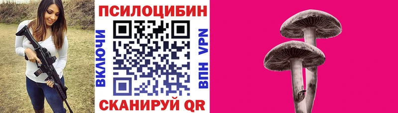 Купить  Алупка  Псилоцибиновые грибы Psilocybe 